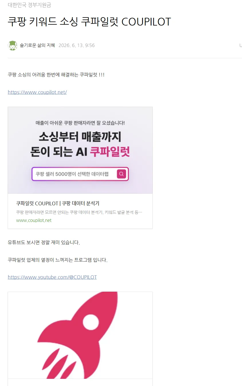 쿠파일럿 사용 후기 캡처