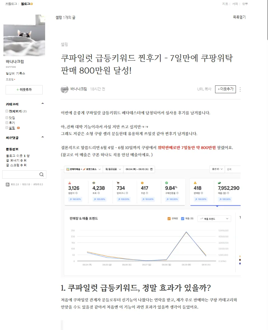 쿠파일럿 사용 후기 캡처