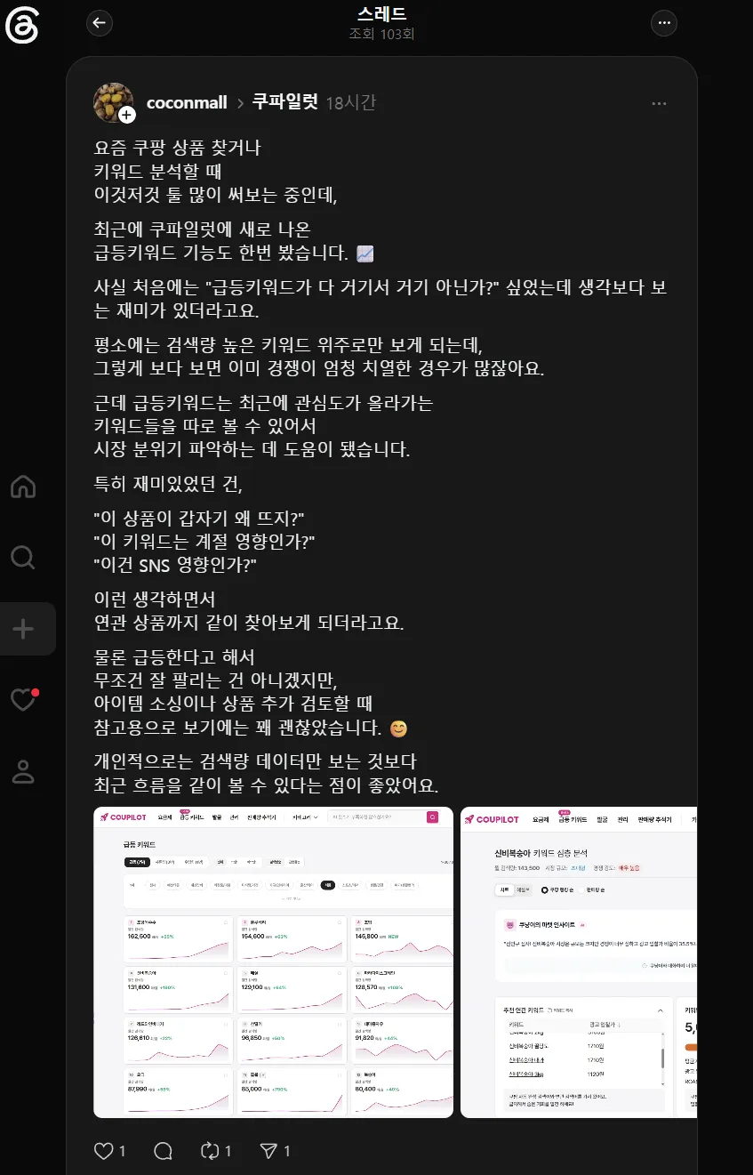 쿠파일럿 사용 후기 캡처